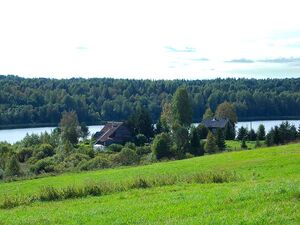 Kuujärvi