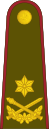 19-Lithuania Army-BG.svg