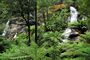 20100102 Triplet Falls - Otway Ranges - Victoria - Australia.JPG