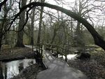 Cassiobury Park 1.jpg