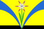 Flag of Iskitimsky rayon (Novosibirsk oblast) (GGR).png