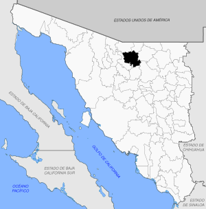 Imuris en Sonora.svg