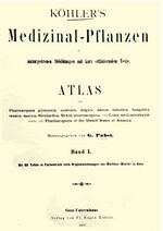 Koehlers titel.jpg