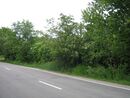 Kronshtadt2012 4628.jpg