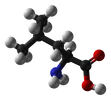 Leucine-ball-and-stick.png