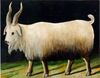 Pirosmani. Nanny Goat (Cardboard 49x80).jpg