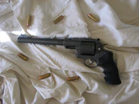 Ruger Super Redhawk .480 Ruger.jpg