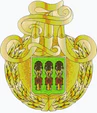 Нагрудный знак к Почётной грамоте Губернатора Пензенской области.png