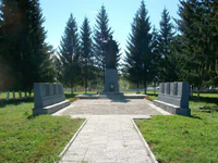 Сосновка (Глуховский район). Памятник советских воинов.jpg