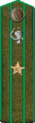 погон 1943
