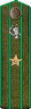 погон 1943