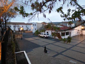 Аликун-де-Ортега