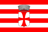Флаг