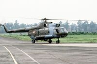 IAF Mi-8.JPEG