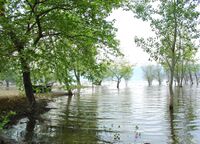 Limni Volvi 200704.JPG