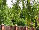Sankt-Peterburg avgust2013 1450010.JPG