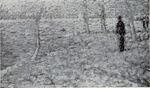 Seurat - Dorra and Rewald, 108.jpg
