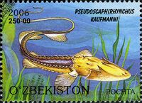 Stamps of Uzbekistan, 2006-040.jpg