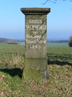 Triangulationsstein Salzenforst 2.JPG