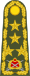 Turkey-army-OF-9.svg