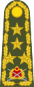Turkey-army-OF-9.svg