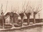 Van gogh Small House on a Road with Pollard Willows kmm f900 jh47.jpg