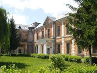 Vyshnivets Palace Vlasenko.jpg