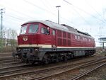 130 101 Luetzel 03042010.JPG