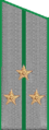 погон 1956