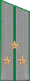 погон 1956