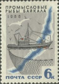 1966 год: Промысловые рыбы Байкала