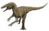 Australovenator reconstruction.jpg
