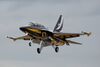 Black Eagles T-50.jpg