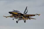 Black Eagles T-50.jpg