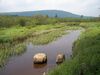 Blackwater River Canaan Valley Resort State Park.jpg