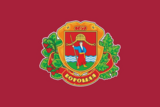 Флаг