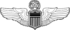 COMMAND PILOT WINGS.png