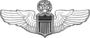 COMMAND PILOT WINGS.png