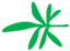 Leaf morphology pedate.png