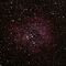 Rosette Nebula in Monoceros.jpg