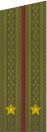 погоны 1969