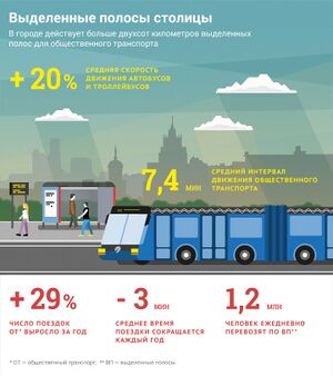 Выделенные Полосы в Москве, Инфографика.jpg