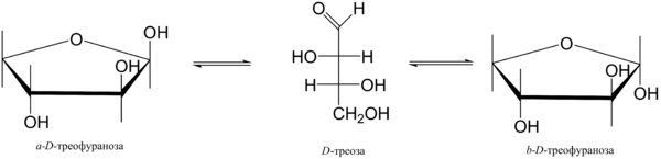 Таутомерия треозы.png