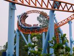 10 Inversion Roller Coaster.jpg