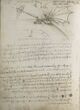 Codex on the Flight of Birds.jpg