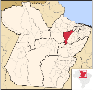 Para Micro Cameta.svg