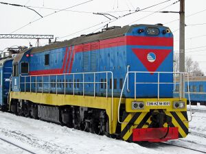TEM-KZ-0001 (2).jpg