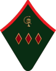 Корврач шинель.png
