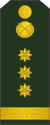 10-Moldovan Army-1LT.svg