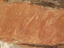 Aboriginal art barramundi rock art.jpg
